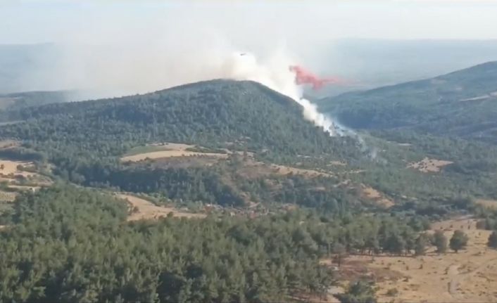 Manisa’da orman yangını