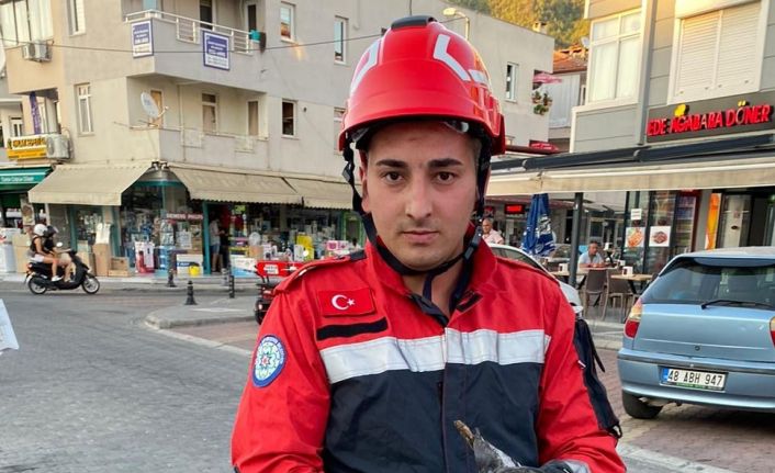 Marmaris’te kanala düşen yaralı güvercini itfaiye ekipleri kurtardı