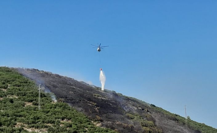 Muğla’daki orman yangını kontrol altına alındı