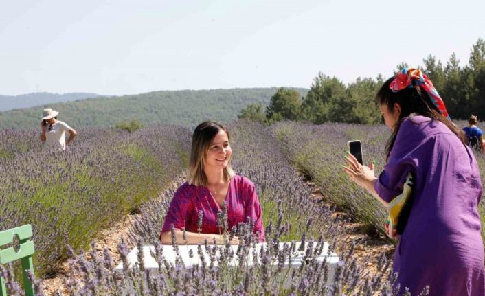 Muğla’nın ‘Mor’ bahçesine ziyaretçi akını