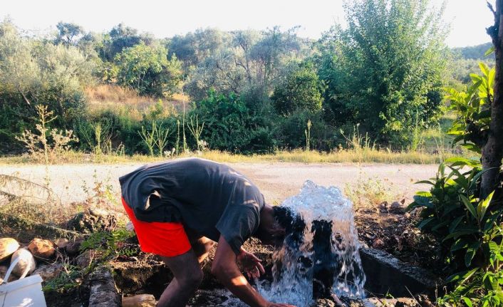 Narenciye üreticileri sıcakta hem ağaçları hem kendilerini suluyor