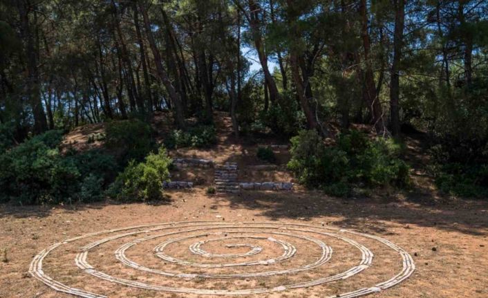 Olivelo Yaşayan Park’ta safari turları yarın başlıyor