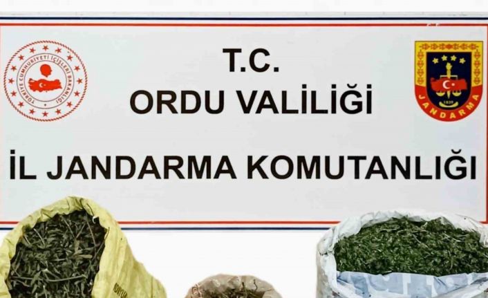 Ordu’da 6 ayda 157 düzensiz göçmen sınır dışı edildi