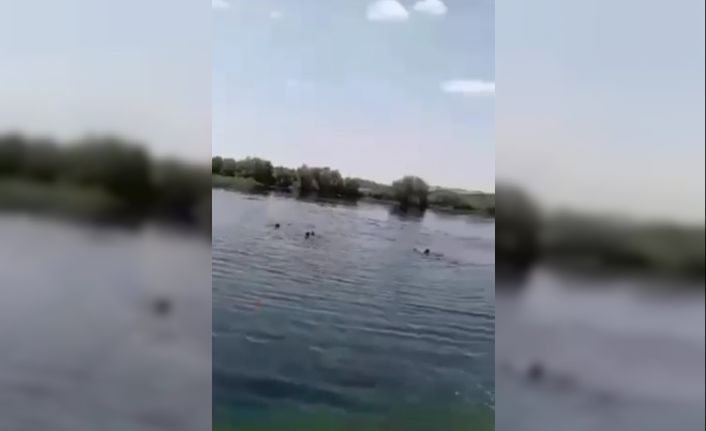 Piknik faciası cep telefonu kamerasında