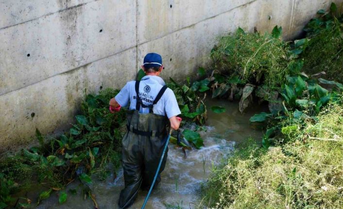 Samsun Büyükşehir’den 22 bin 500 noktada vektörlerle mücadele