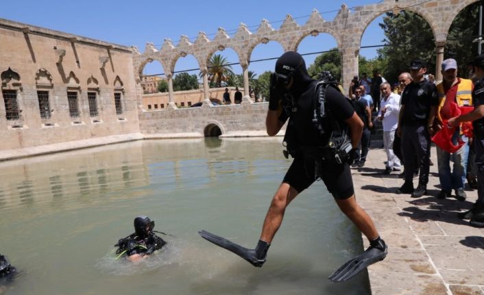 Şanlıurfa’da dalgıç polisler Balıklıgöl’ü temizledi