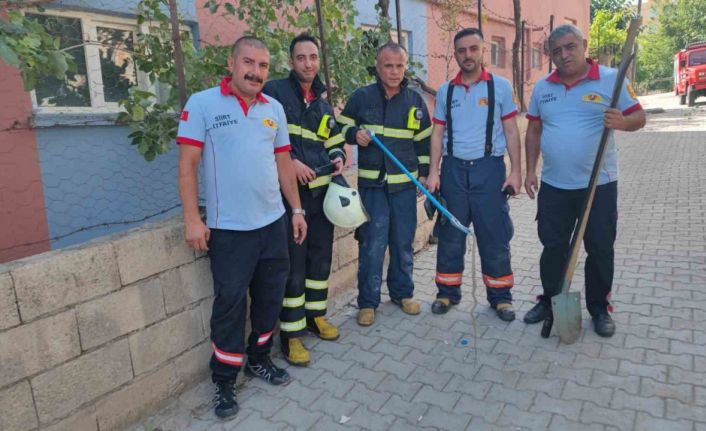 Siirt’te evde görülen yılan paniğe neden oldu