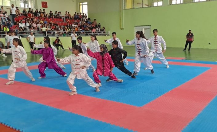 Siirt’te Wushu Kung Fu geleneksel Türkiye şampiyonası sona erdi