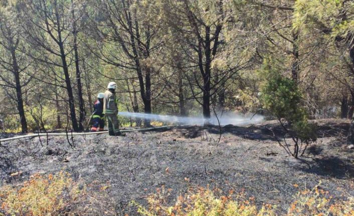 Sultangazi Kent Ormanı’nda çıkan yangın paniğe neden oldu