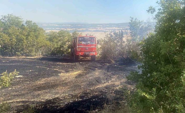 Tarladan ormana sıçrayan yangında hayvanlar da zarar gördü