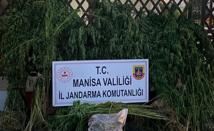 Turgutlu’da jandarmadan uyuşturucu operasyonu