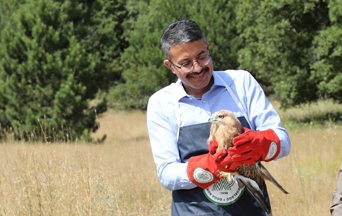 Vali Çelik, tedavisi yapılan Kızıl şahini doğaya bıraktı