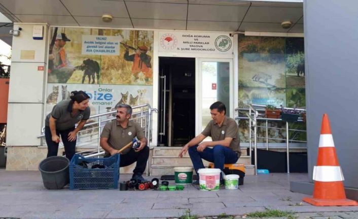 Yalova’da bıldırcın sesi çıkaran cihazlar imha edildi