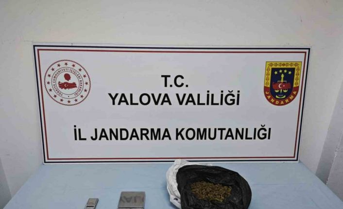 Yalova’da uyuşturucu operasyonu: 1 gözaltı