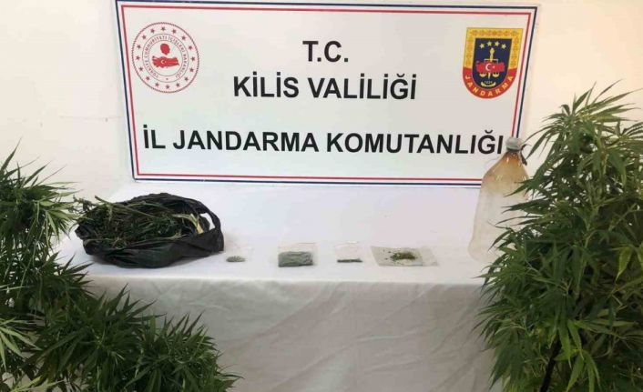 Yasa dışı esrar yetiştiren şahsın evine Jandarmadan operasyon: 2 gözaltı