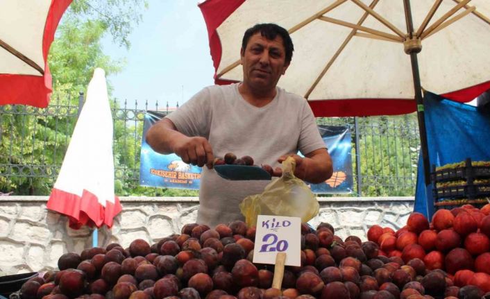 Yaz meyvesi eriğe pazarda rağbet yok