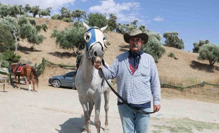 Yetiştirecek alanı olmadığı için atlarını satılığa çıkardı