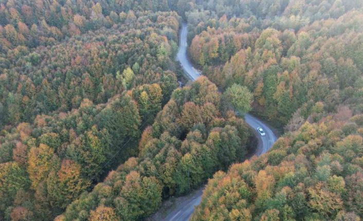 Zonguldak’ta 30 Eylül’e kadar ormanlara giriş yasaklandı