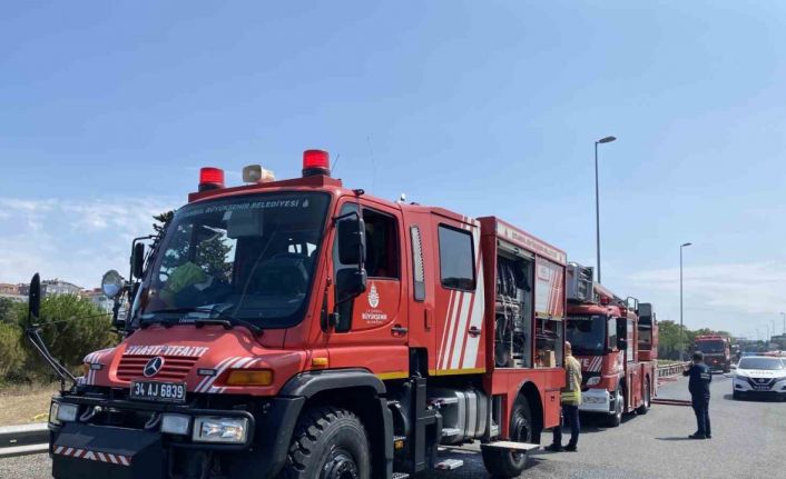 15 Temmuz Köprü yolunda ağaçlık alanda yangın