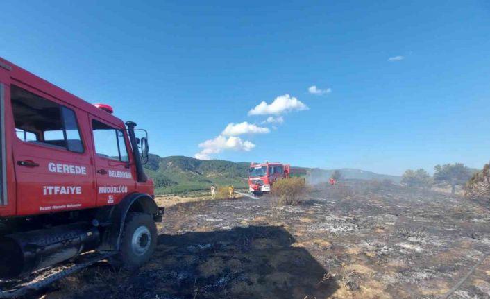 5 dönümlük otluk arazi küle döndü