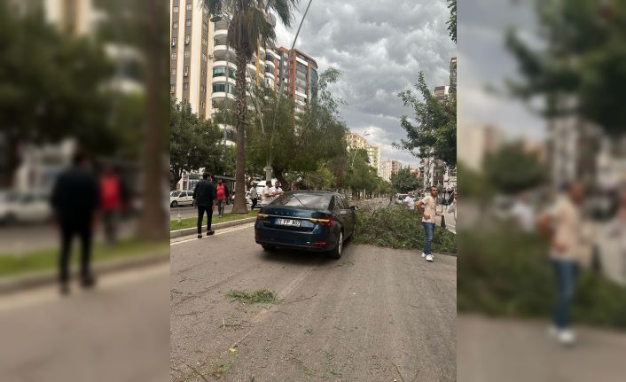 Adana’da kuvvetli yağış ve rüzgar hayatı olumsuz etkiledi