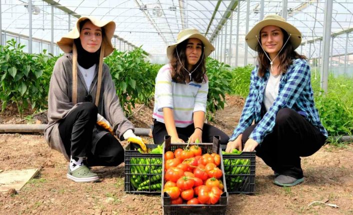 Akademik ürünlerin geliri öğrencilere burs oldu