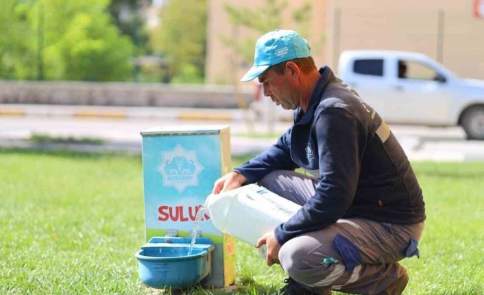 Aksaray Belediyesi aşırı sıcaklarda can dostlarını unutmadı