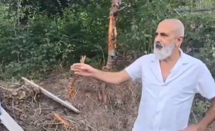 Artvin’de tellere takılarak mahsur kalan ayı kurtarılarak doğaya bırakıldı