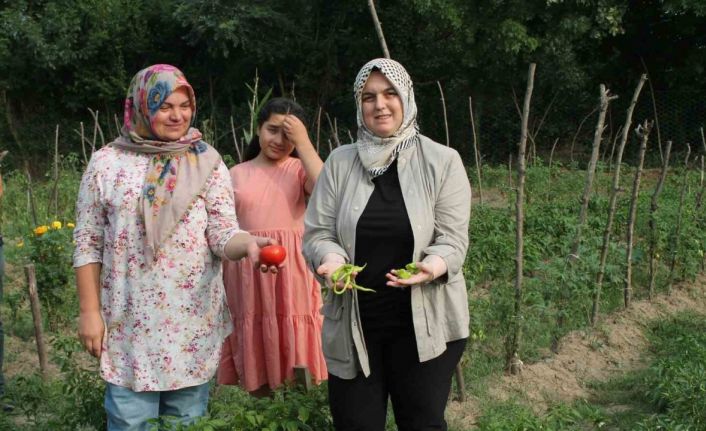 Ata tohum ile yerel çeşitler korunuyor