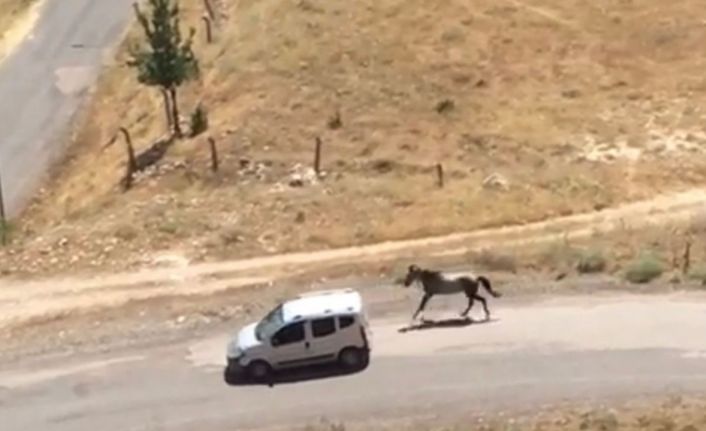 Atı aracın arkasına bağlayıp koşturdu, görüntüler pes dedirtti