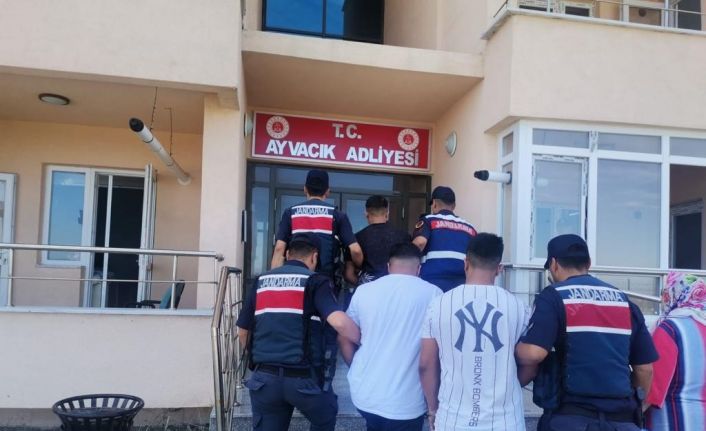 Ayvacık’ta zeytinyağ çalan 3 şüpheli jandarma tarafından yakalandı