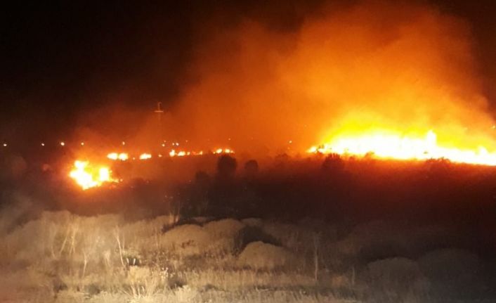 Bandırma’da park halindeki araçta çıkan yangın ormanlık alana sıçradı