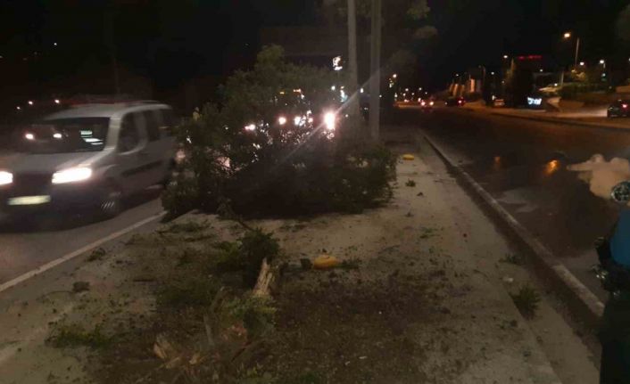 Başkan Ünal, proje ve hedeflerden bahsetti