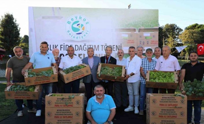 Beykozlu Çiftçiye 1 milyon fide desteği