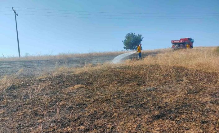 Bilecik’te kuşun elektrik tellerine çarpmasıyla çıkan anız yangını söndürüldü