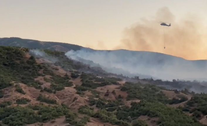 Bingöl’de orman yangınına müdahale sürüyor