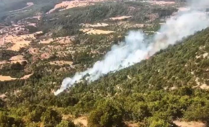 Bolu’da orman yangını: Helikopter ve arazözlerle müdahale ediliyor