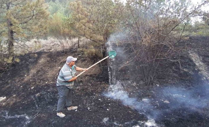 Bolu’da orman yangını köylülerin de desteğiyle söndürüldü