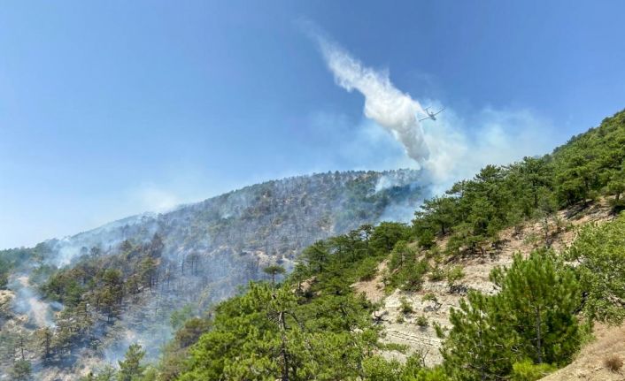 Bolu’daki orman yangına müdahale sürüyor