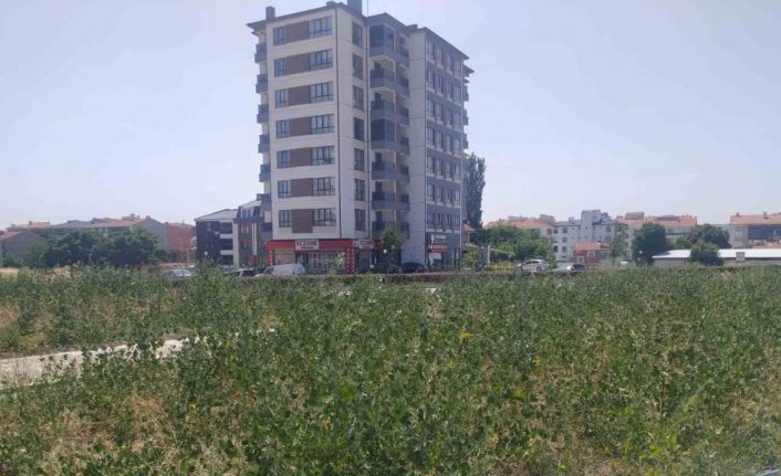Bu parkın yapımı neden yarım bırakıldı?