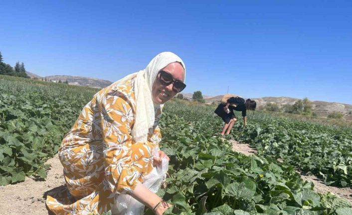 Bu tarlaya gelen istediğini seçer