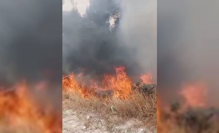 Buldan’da çıkan yangın, ormana sıçramadan söndürüldü