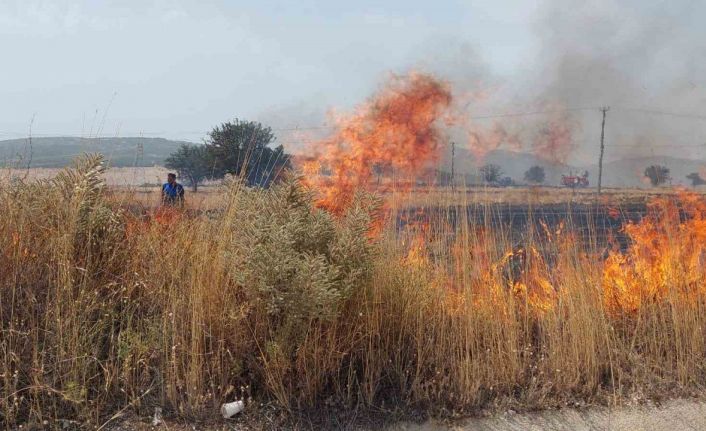 Burdur’da 100 dönümün üzerinde biçilmiş tarım arazisi küle döndü