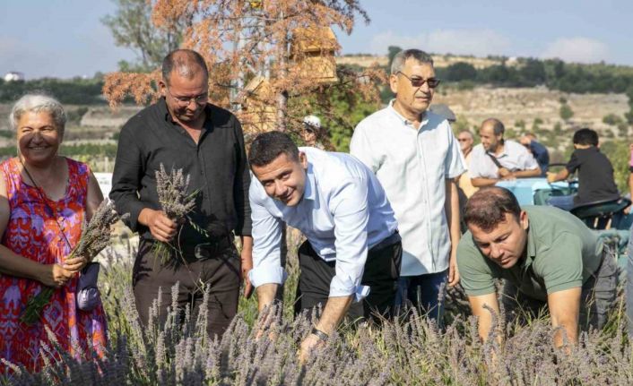 Çaltıbozkır’da Lavanta Hasat Şenliği