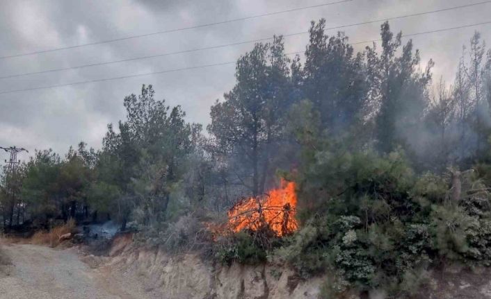 Çanakkale’deki orman yangını kontrol altına alındı