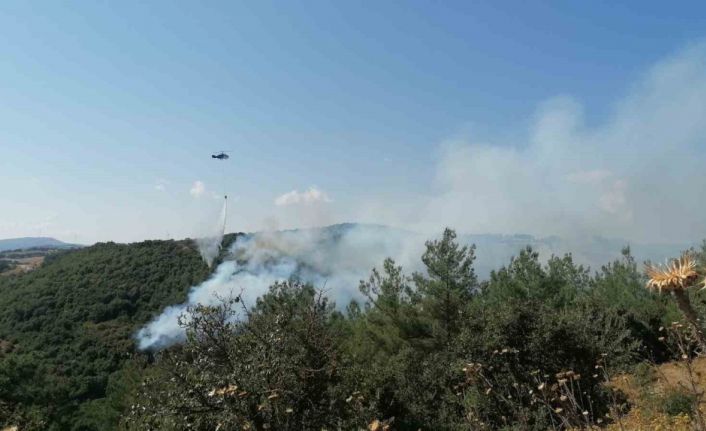 Çan’daki orman yangını kontrol altına alındı