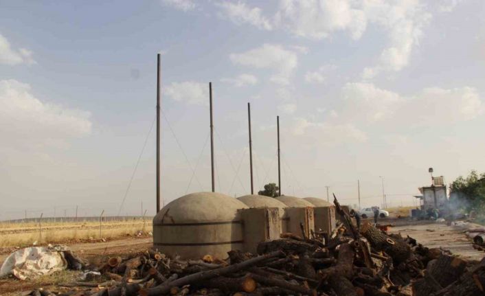 Cizre’de 300 derecelik fırınlarda meşe ağacından mangal kömürü üretiyorlar