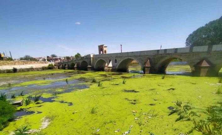 Edirne’de Tunca Nehri kirlilikten yeşile büründü