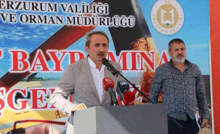 Erzurum’da hasat bayramı