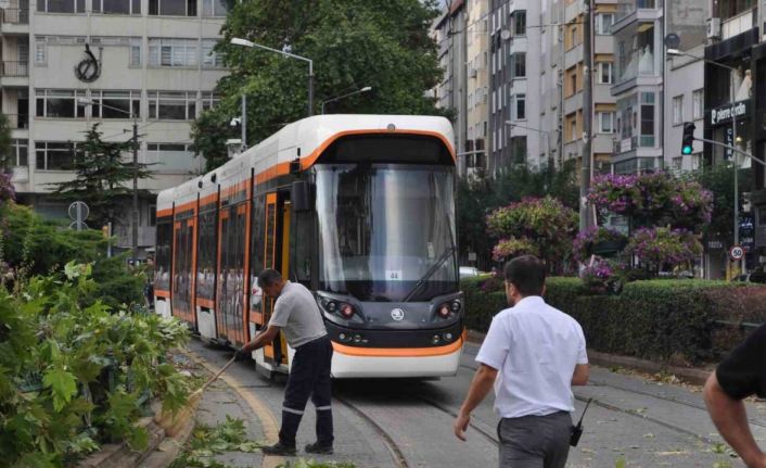 Eskişehir’de rüzgarda kırılan dal tramvay seferlerini aksattı